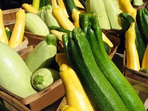 吃瓜娱乐营养,营养生活新风尚